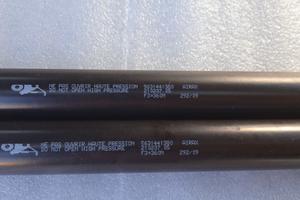 Ammortizzatori portellone 