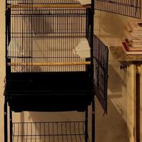 GABBIA PER PAPPAGALLI 