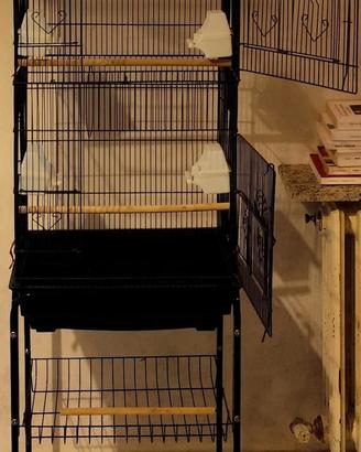 GABBIA PER PAPPAGALLI 