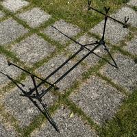 Rod pod carp fishing