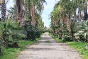 Terreno Agricolo Ragusa [Cod. rif 3278758VCG]