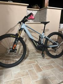 Orbea wild carbon