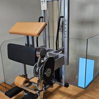 Standing Leg Curl Silver Line