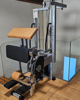 Standing Leg Curl Silver Line