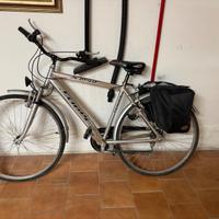 Bicicletta da passeggio