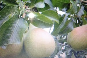 Vendita terreno Lamezia terme