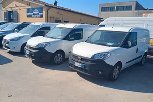 Furgoni ford e doblo