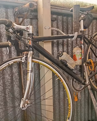 bicicletta