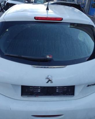 Portellone nudo PEUGEOT 208 del 2012