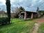 Immagine 22