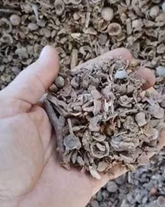 Gusci di nocciole intere - altrernativa al pellet
