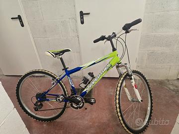 bicicletta 