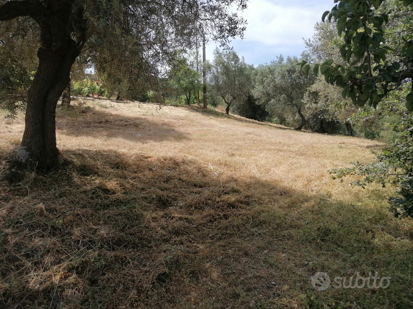 Terreno agricolo con possible costruzione - Vista 3
