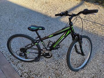 Mountain bike Bottecchia