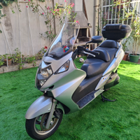 Silver wing