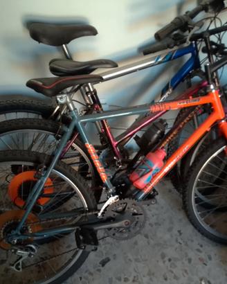 bici buone