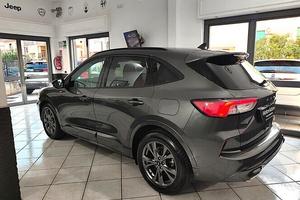 Ford Kuga 2.0 EcoBlue 120 CV aut. 2WD ST-Line