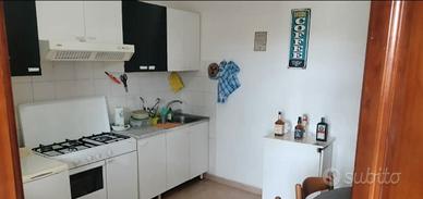 Casal del marmo bilocale arredato