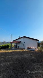 Rudere Ristrutturato e Oliveto