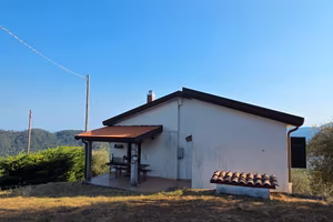 Rudere Ristrutturato e Oliveto