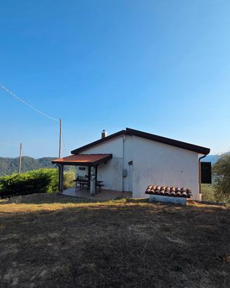Rudere Ristrutturato e Oliveto