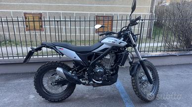 Beta Alp-Alp X MY’25