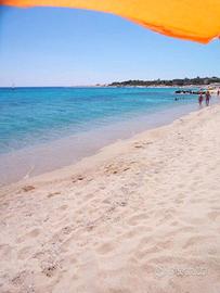 Open Space al mare MONASTERA