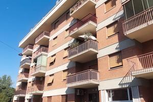 Trilocale zona Esselunga