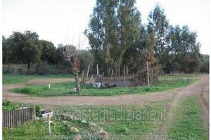 Terreno Agricolo Pula [A183223]