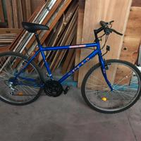 Bicicletta a 50€