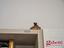 Immagine 27