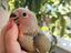 Immagine 4