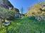 Immagine 29