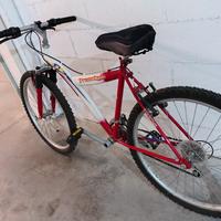 Mountain bike