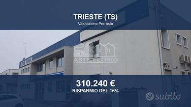 Immobile in asta di 360 m² a Trieste