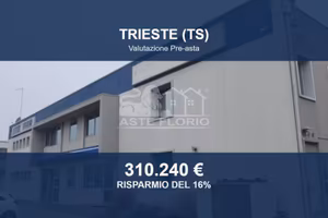 Immobile in asta di 360 m² a Trieste