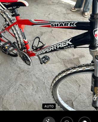 Bicicletta mountainbike