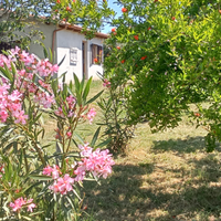 Villino zona Riello Viterbo