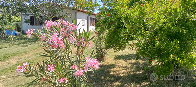 Villino zona Riello Viterbo