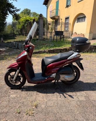 SH 300 con bauletto