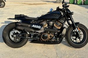Harley