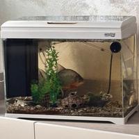 Acquario 50 litri amtra acessioriato