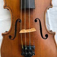 Violino antico
