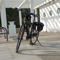 🚴♀️ Bicicletta elettrica Discovery Adventure – e