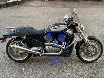 Harley Davidson VRod Street Rod