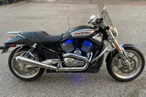 Harley Davidson VRod Street Rod