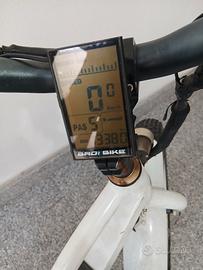 bici elettrica