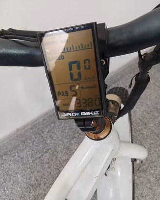 bici elettrica