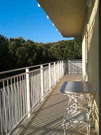 AGOSTO Pinarella lungomare 2 camere