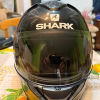 Casco shark